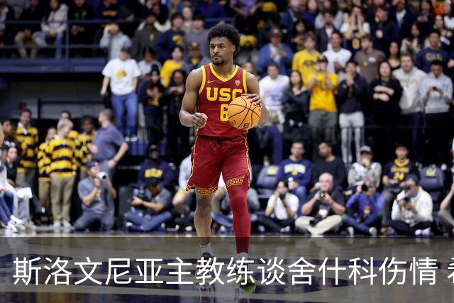 斯洛文尼亚主教练谈舍什科伤情 希望他尽快恢复
